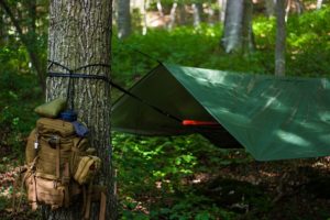 Building a Survival Shelter